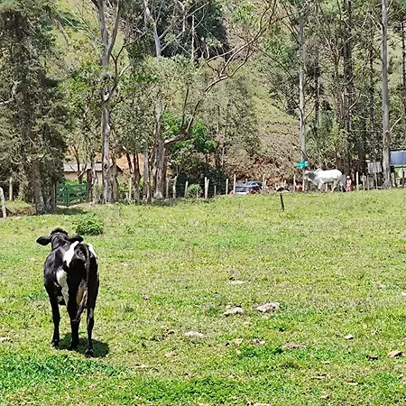 Pousada Sítio das Astrapéias-2